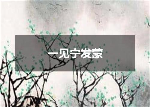 一见宁发蒙