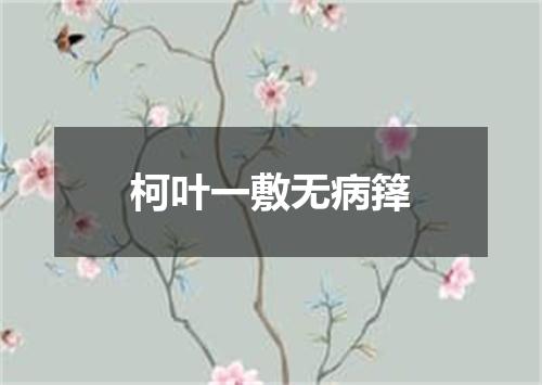 柯叶一敷无病箨