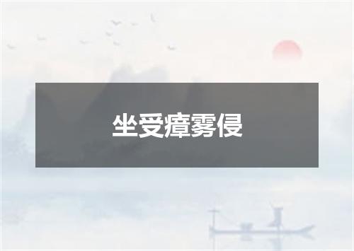 坐受瘴雾侵