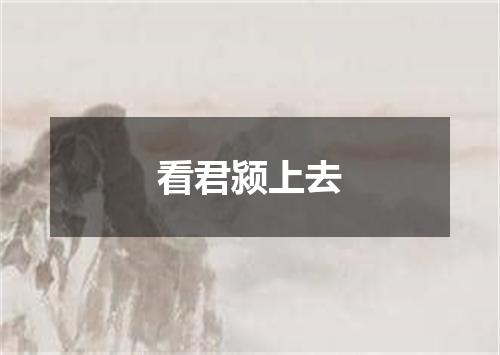 看君颍上去