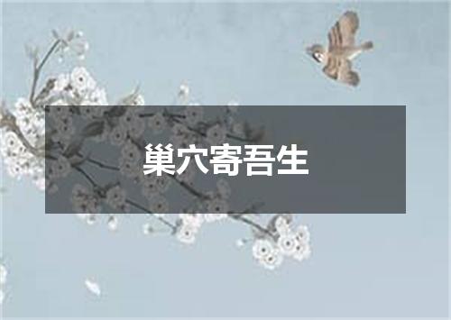 巢穴寄吾生