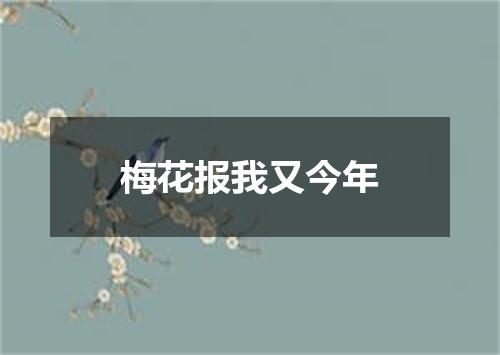 梅花报我又今年