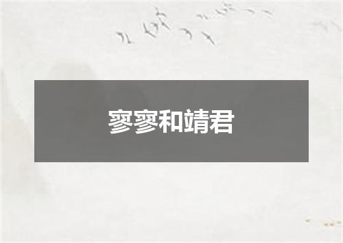 寥寥和靖君