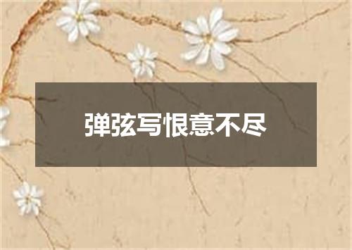 弹弦写恨意不尽
