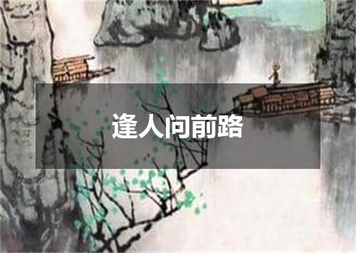 逢人问前路