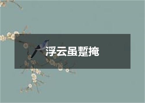 浮云虽蹔掩