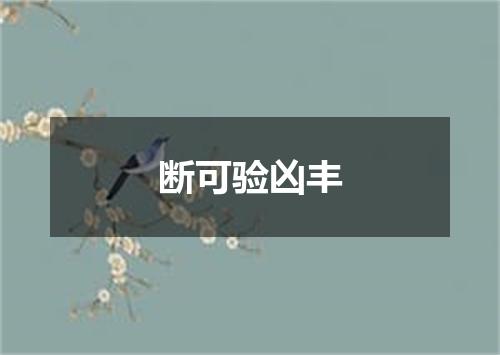断可验凶丰