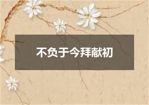 不负于今拜献初
