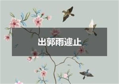 出郭雨遽止