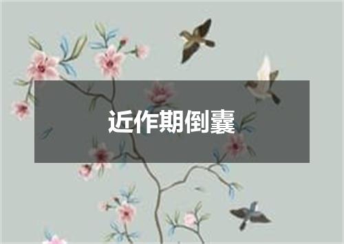 近作期倒囊