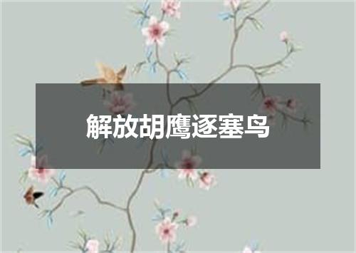 解放胡鹰逐塞鸟