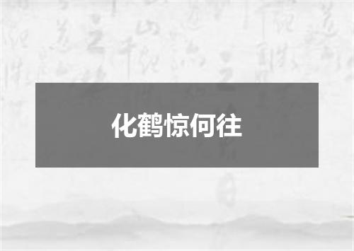 化鹤惊何往