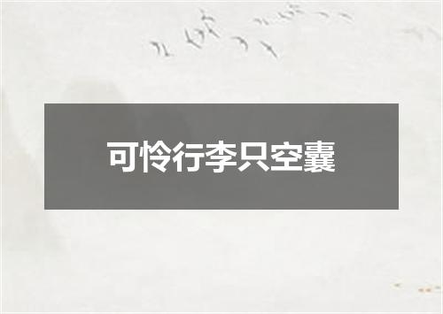 可怜行李只空囊