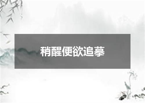 稍醒便欲追摹