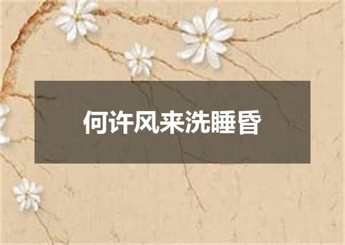 何许风来洗睡昏