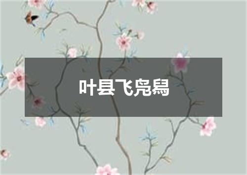 叶县飞凫舄