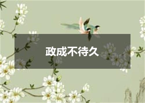 政成不待久