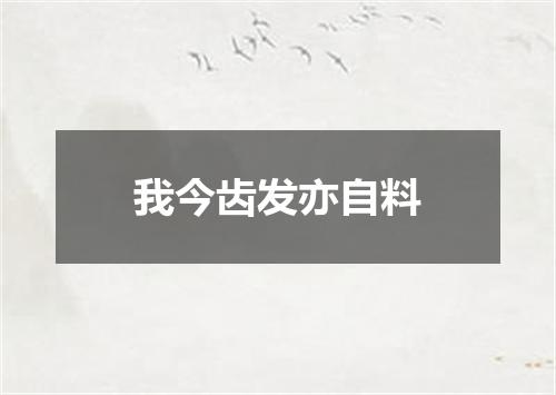 我今齿发亦自料