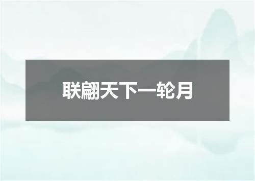 联翩天下一轮月
