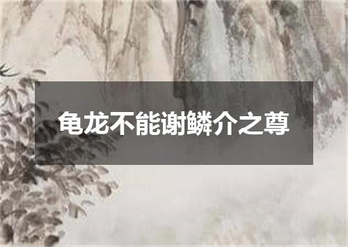 龟龙不能谢鳞介之尊