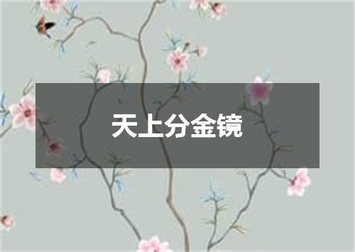 天上分金镜