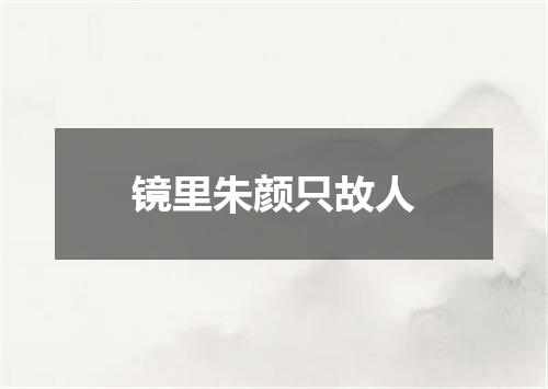 镜里朱颜只故人