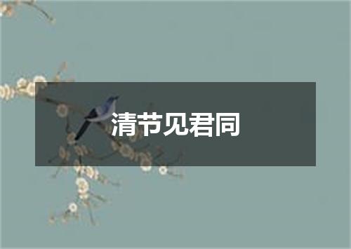 清节见君同