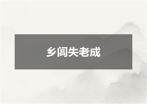 乡闾失老成