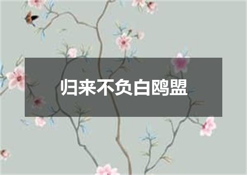归来不负白鸥盟