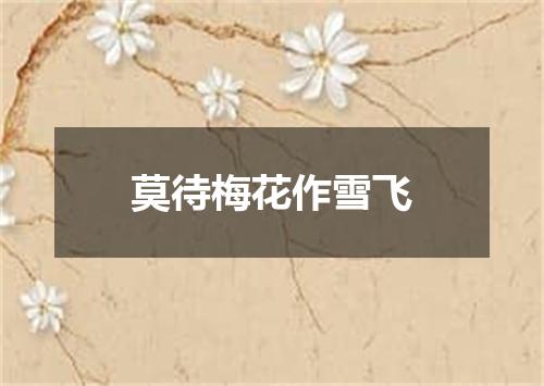 莫待梅花作雪飞