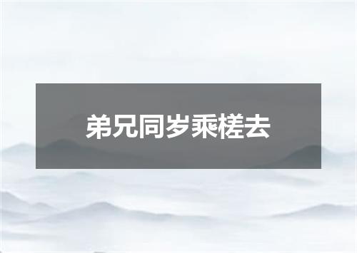 弟兄同岁乘槎去