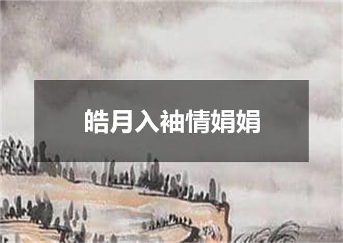 皓月入袖情娟娟