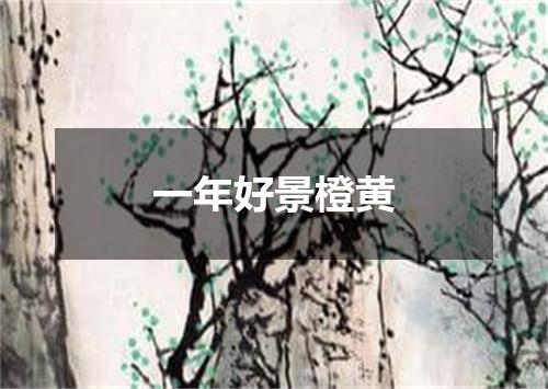 一年好景橙黄