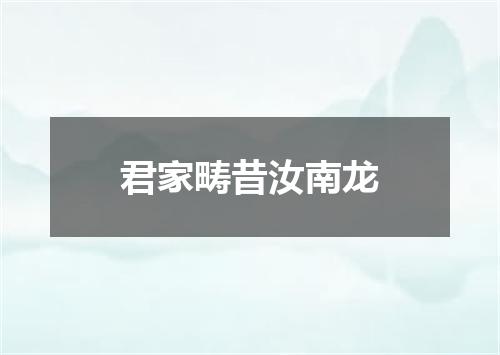 君家畴昔汝南龙