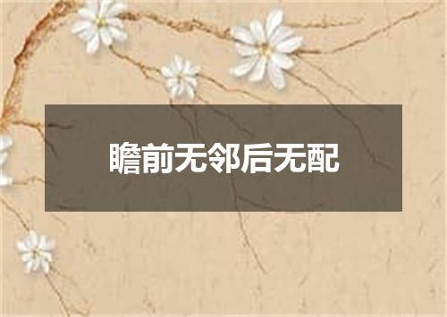 瞻前无邻后无配