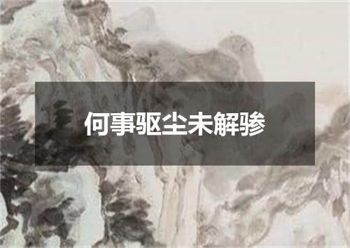 何事驱尘未解骖