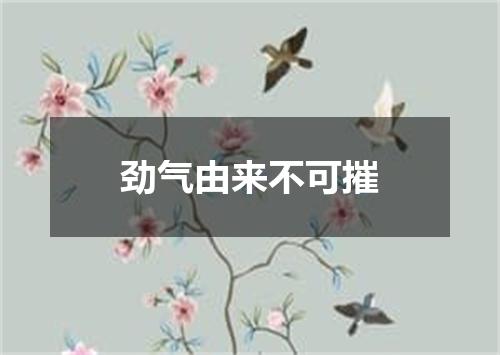 劲气由来不可摧