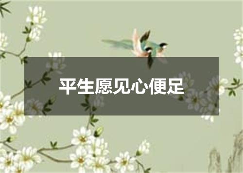 平生愿见心便足