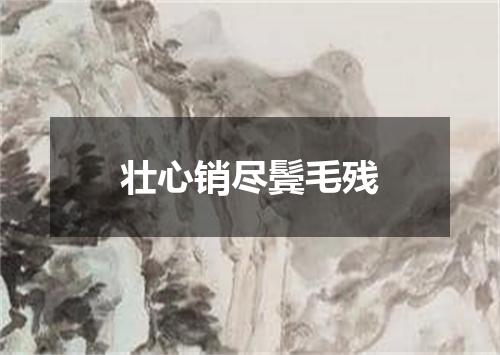 壮心销尽鬓毛残