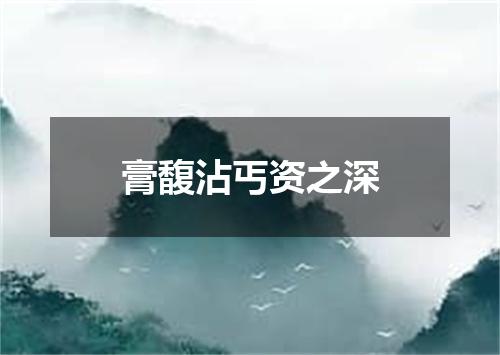 膏馥沾丐资之深