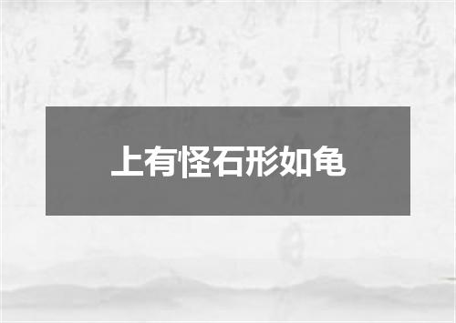 上有怪石形如龟