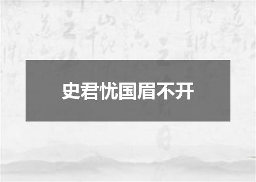 史君忧国眉不开