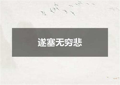 遂塞无穷悲