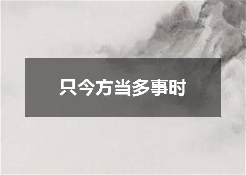 只今方当多事时