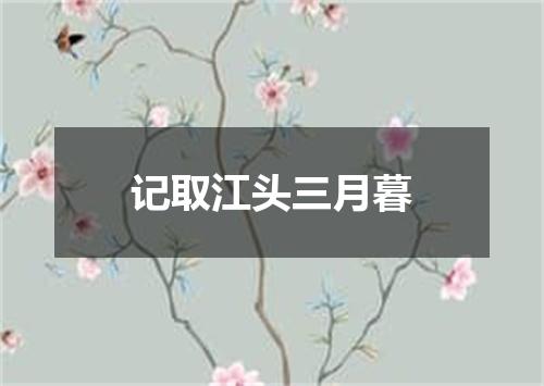 记取江头三月暮