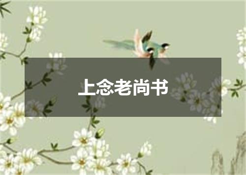 上念老尚书
