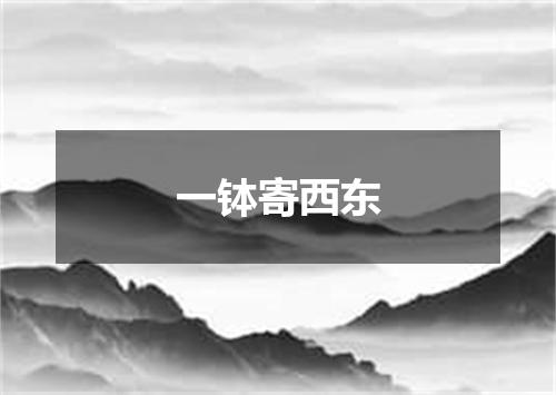一钵寄西东