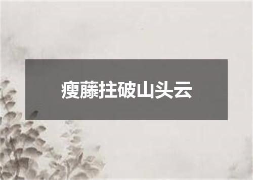 瘦藤拄破山头云