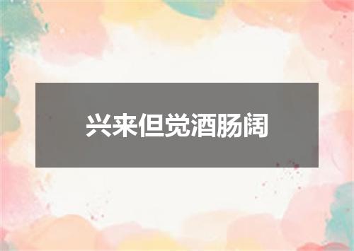 兴来但觉酒肠阔