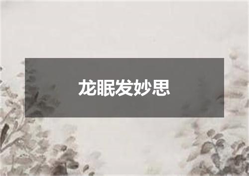 龙眠发妙思